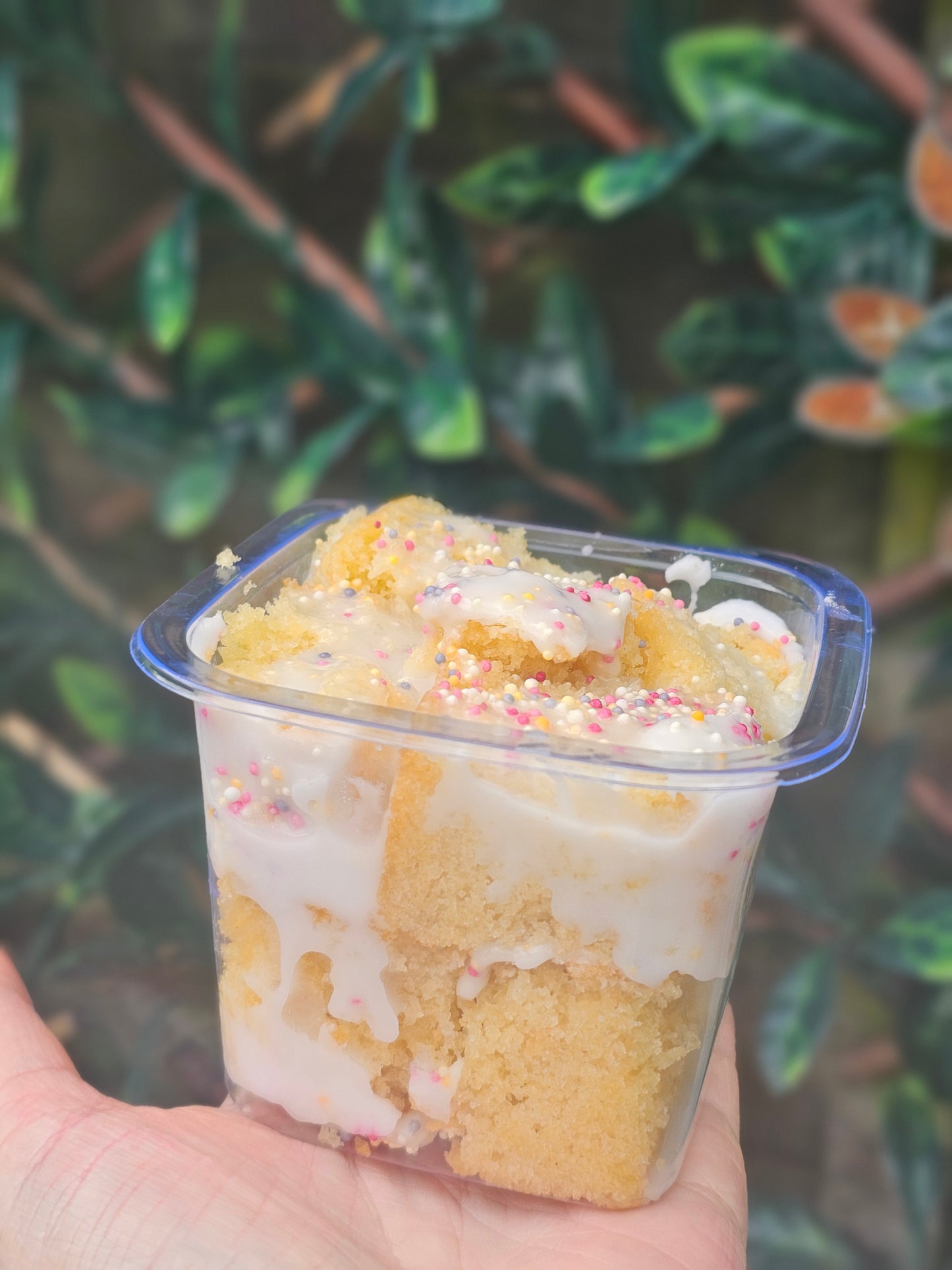 School Cake Pots β¨