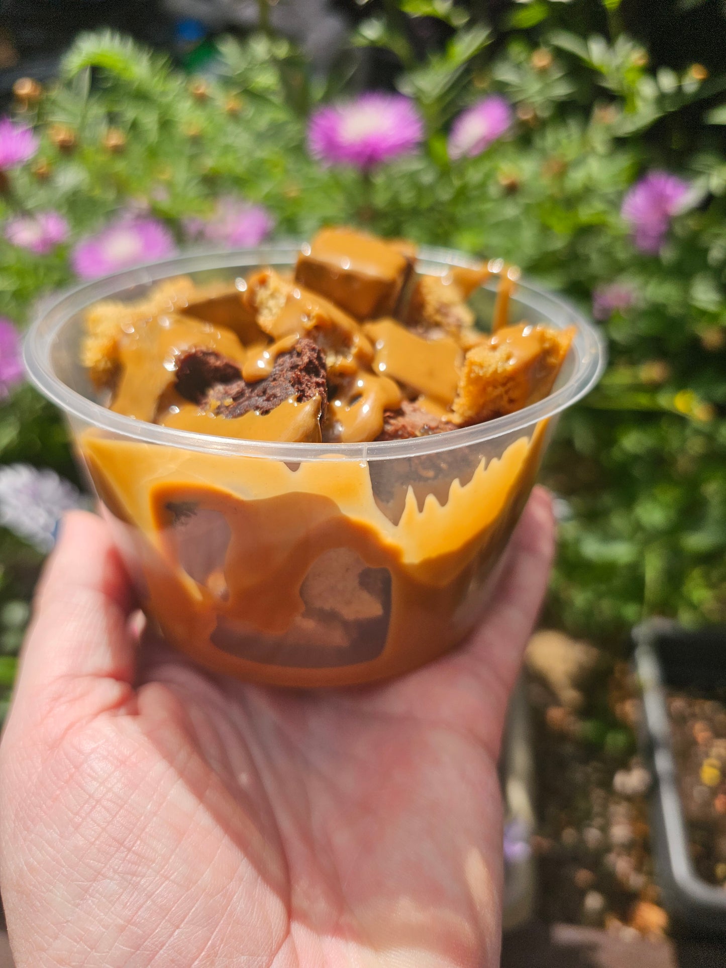 Chaos Pots